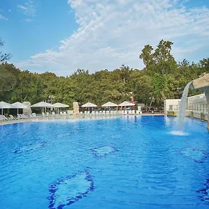 Forest Hotel